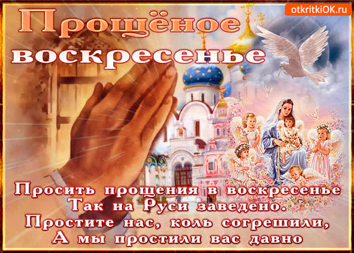 Картинка прошу простить меня коль согрешил