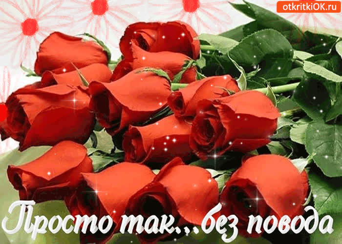 Картинка просто так, без повода от меня