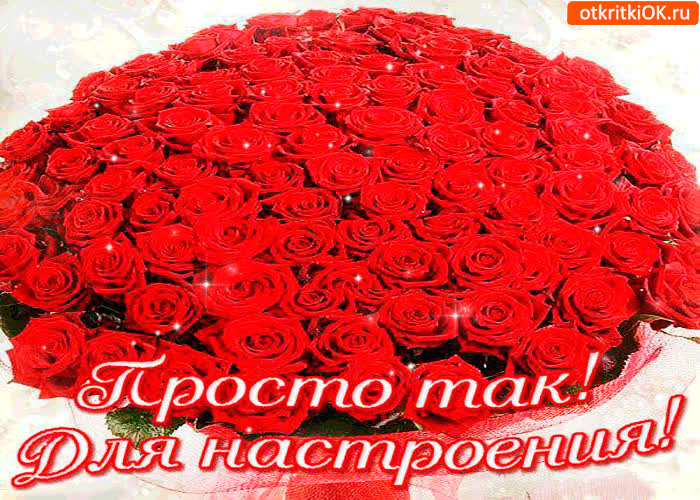 Картинка просто так. для настроения большой букет