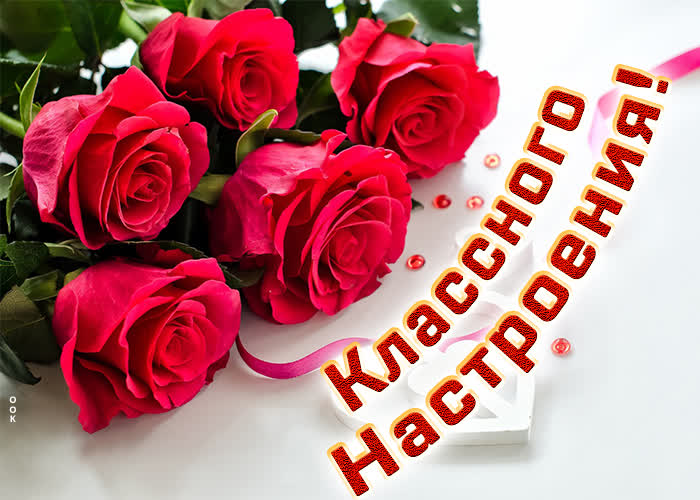 Картинка просто так вам для хорошего настроения