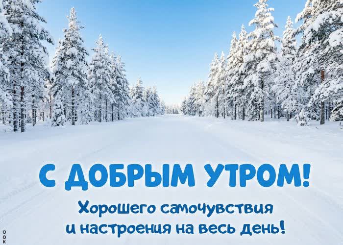 Picture пусть день будет мягким и добрым.
