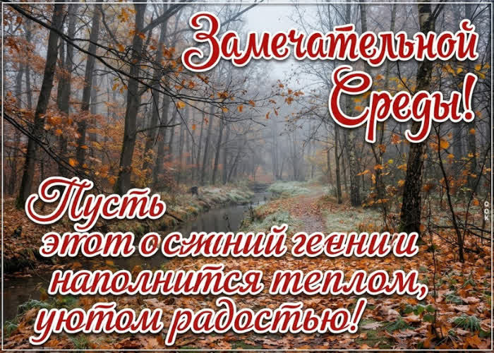 Postcard пусть эта среда принесёт ясность там, где были сомнения