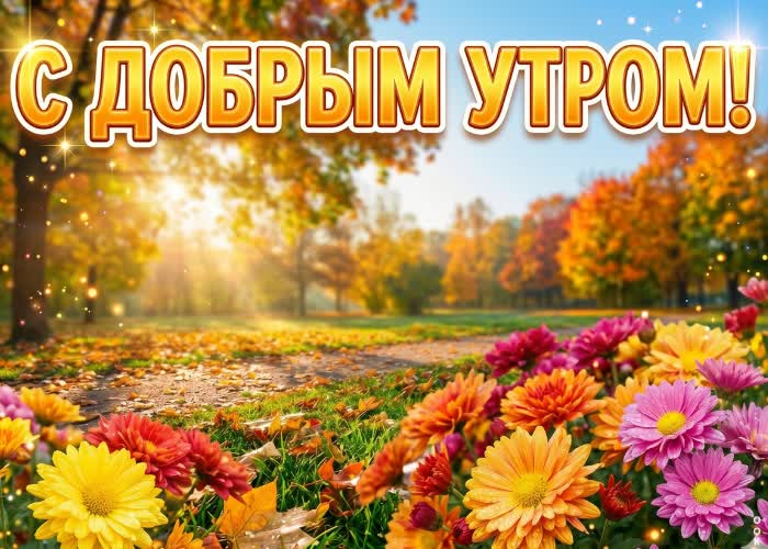 Postcard пусть это осеннее утро подарит спокойствие и красивые мысли.