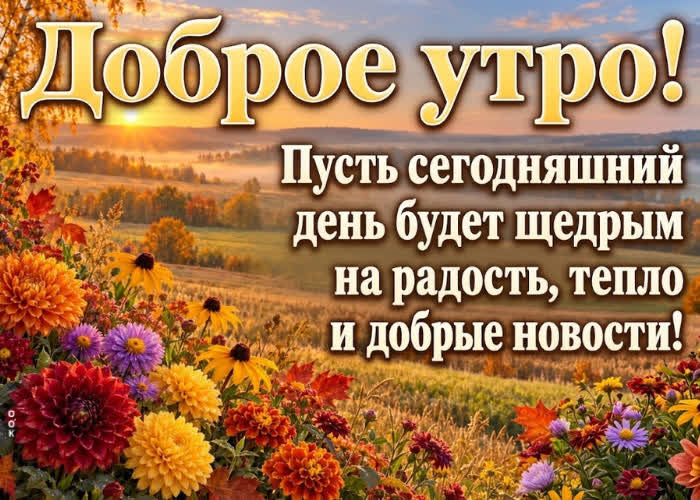Postcard пусть это утро подарит бодрость, приятные новости и отличное настроение на весь день.