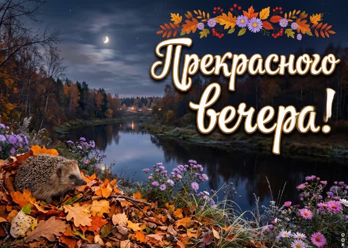 Picture пусть этот вечер будет спокойным и красивым