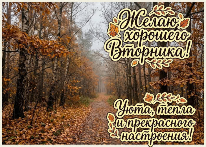 Picture пусть этот вторник принесёт внутреннюю собранность