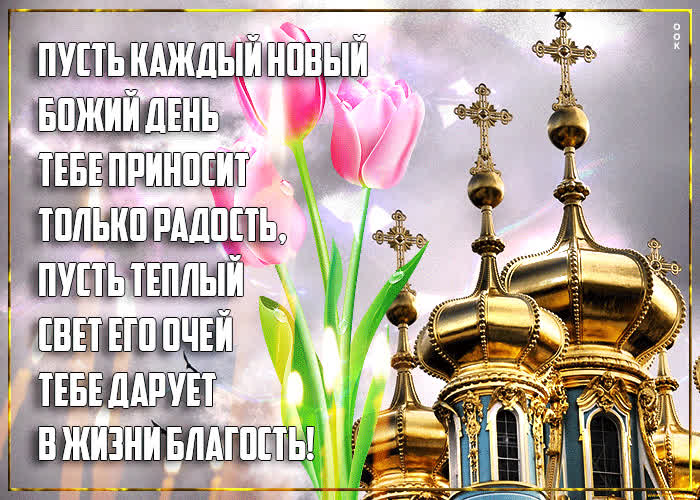 Картинка пусть хранит бог детей