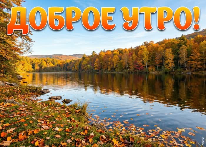 Postcard пусть осеннее утро подарит силы и вдохновение на весь день.