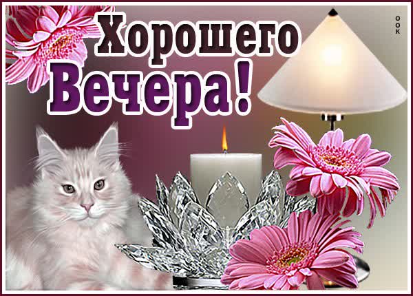 Картинка пусть отличным будет вечер