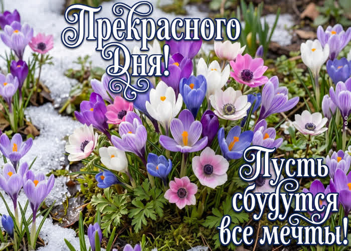 Picture пусть сбудутся все мечты, прекрасного дня