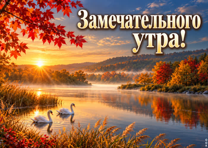 Picture пусть сегодняшний день начнётся особенно хорошо.