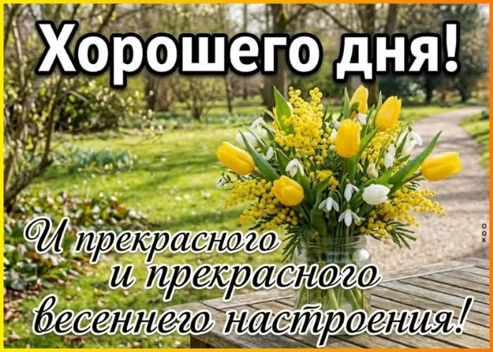 Postcard пусть всё вокруг радует свежестью, лёгкостью и красивым настроением.