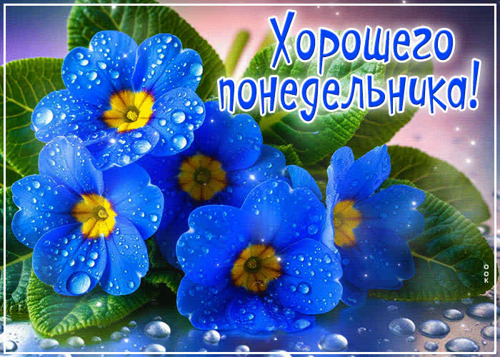 Picture радужная, цветущая открытка хорошего понедельника
