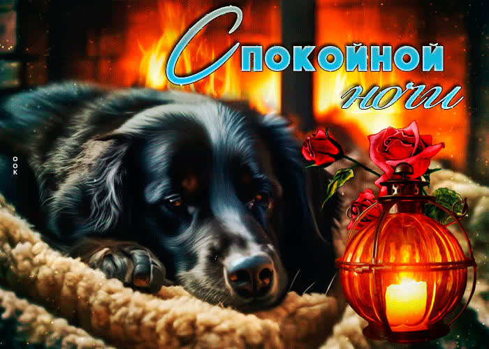 Picture романтичная гиф-открытка с песиком спокойной ночи