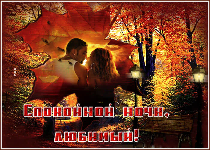 Postcard романтичная открытка спокойной ночи, любимый! с парой