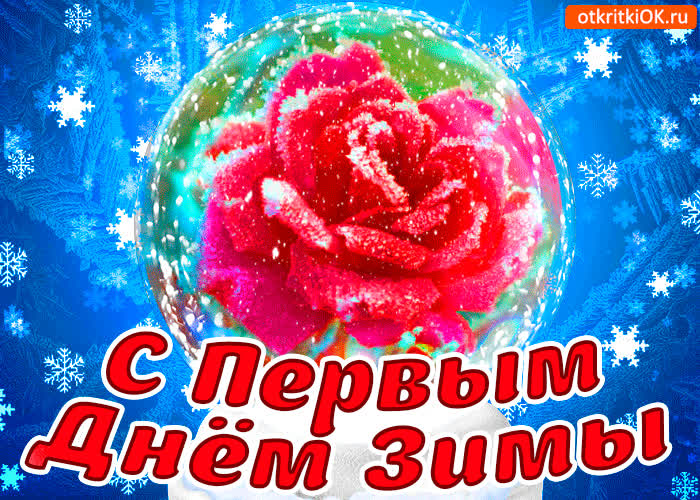Картинка роза с первым днём зимы