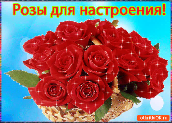 Картинка розы для настроения!