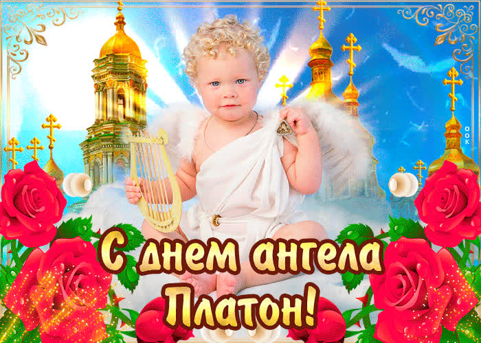 Картинка с днём ангела платон — красивые розы