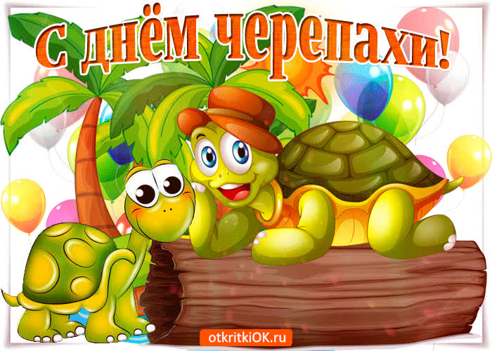 Картинка с днем черепахи