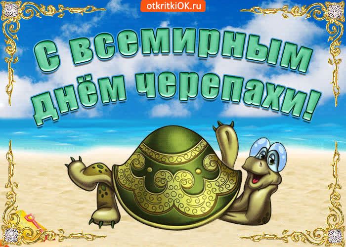 Картинка с днем черепахи поздравляю