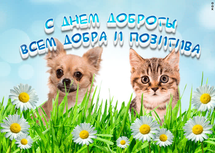 Картинка с днём доброты картинка! пожелание добра