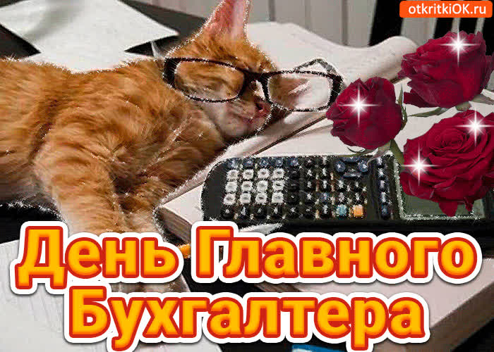 Картинка поздравление с днём главного бухгалтера