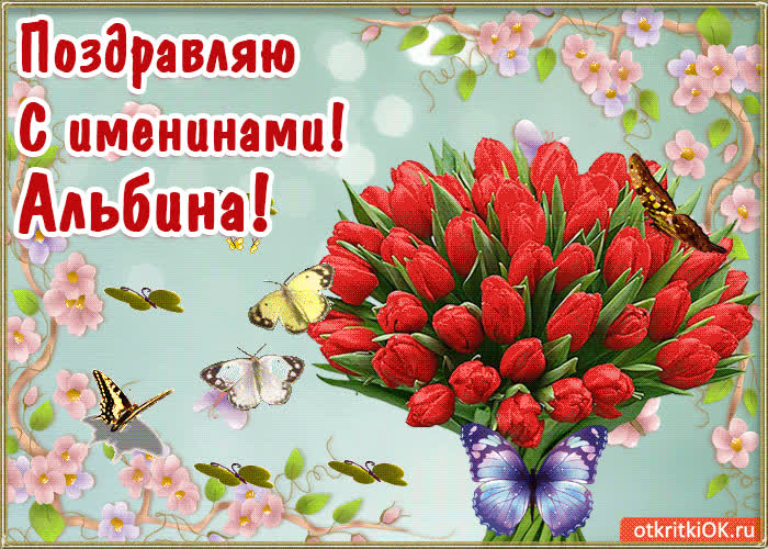 Картинка с днём имени альбина