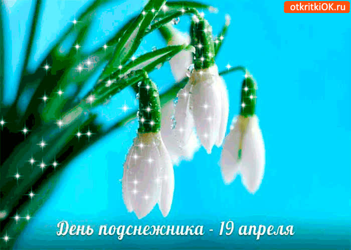 Картинка с днём подснежника - 19 апреля