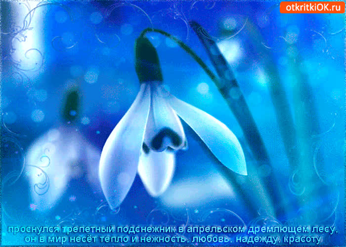 Картинка с днём подснежника - любви и надежды желаю