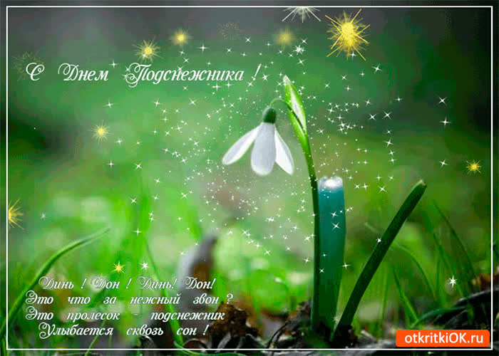 Картинка с днём подснежника тебя