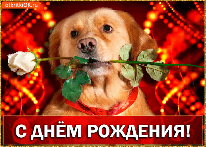 Картинка с днём рождения! тебя поздравляю!