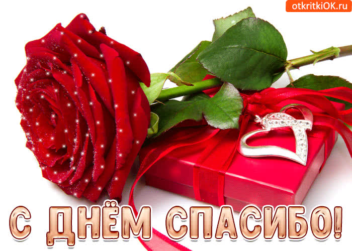 Картинка с днём спасибо тебе поздравление