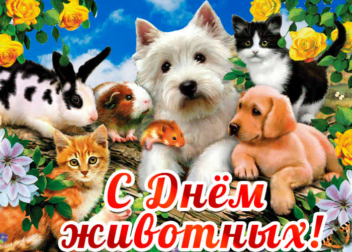 Картинка с днём животных