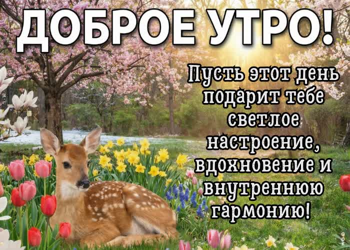 Postcard с добрым утром! пусть сегодня всё радует