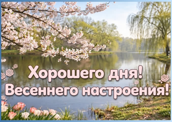 Postcard с добрым утром! пусть утро задаст правильный настрой на весь день