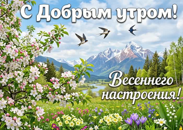 Picture с добрым утром! пусть всё задуманное сегодня получится