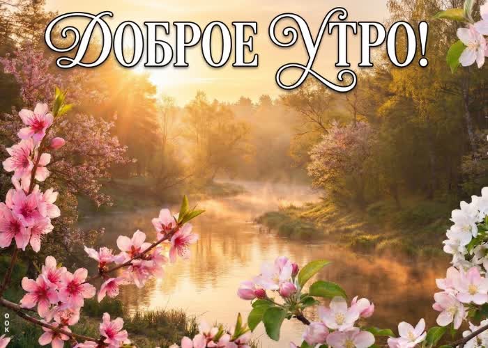 Postcard с добрым утром! сегодня обязательно повезёт