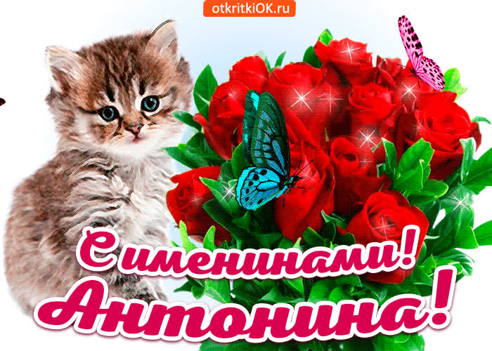 Картинка с именинами антонина