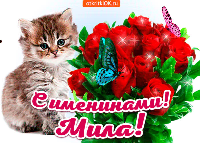 Картинка с именинами мила