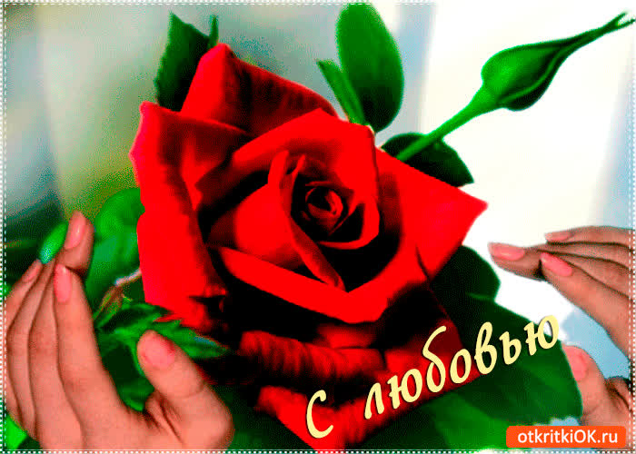 Картинка с любовью цветочек