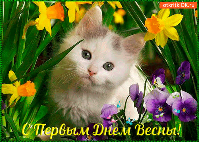 Картинка с первым днём весны тебя