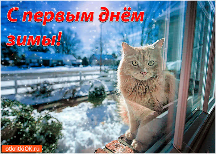 Картинка с первым днём зимы!