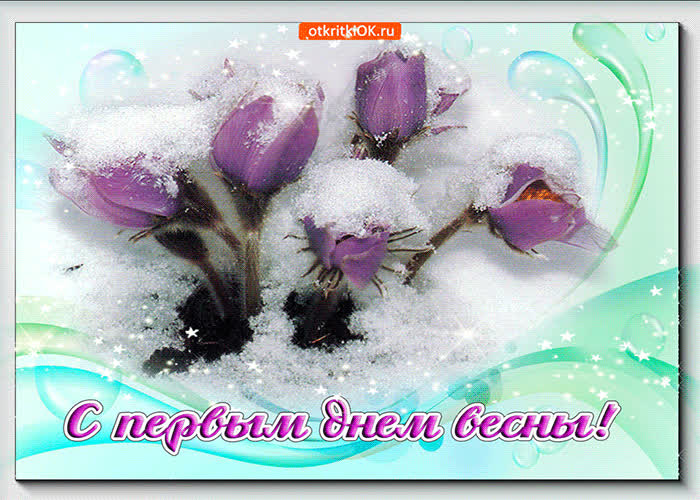 Картинка с первым от весны приветом