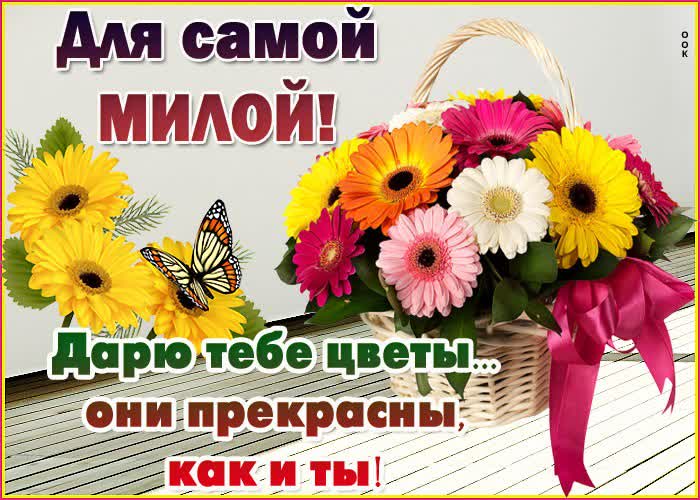 Картинка красивая картинка с цветами