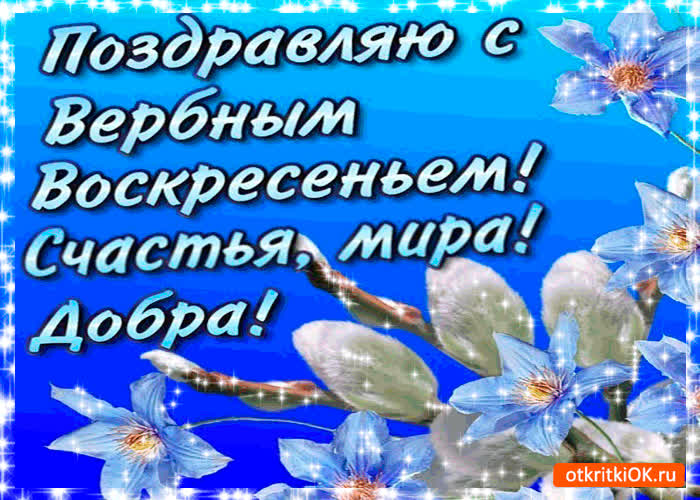 Картинка с вербным воскресеньем -  добра и мира желаю