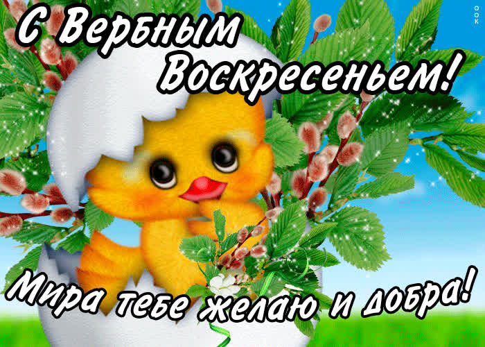 Картинка с вербным воскресеньем - мира тебе желаю