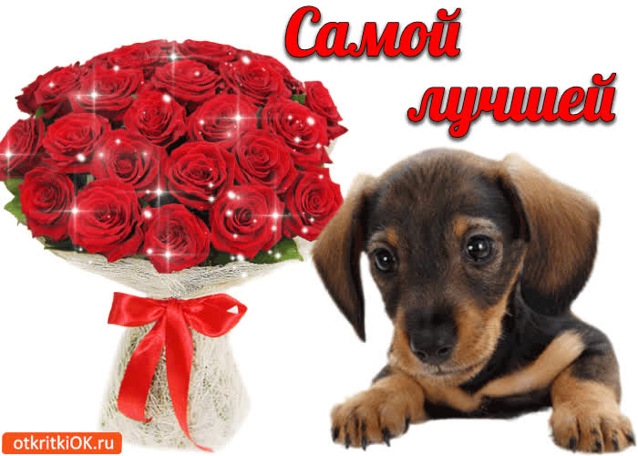 Картинка самой лучшей