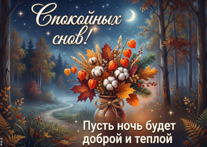 Postcard самые лучшие пожелания для лучшего человека, спокойной ночи!