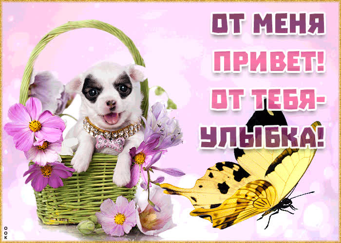 Картинка самый тёплый и нежный привет