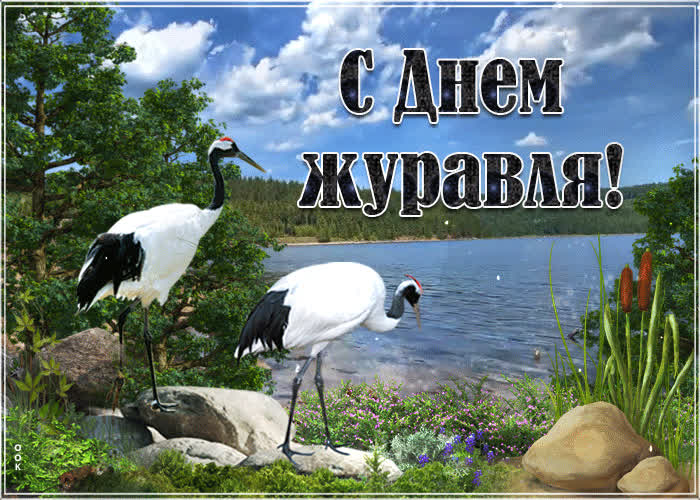 Картинка счастья в день журавля